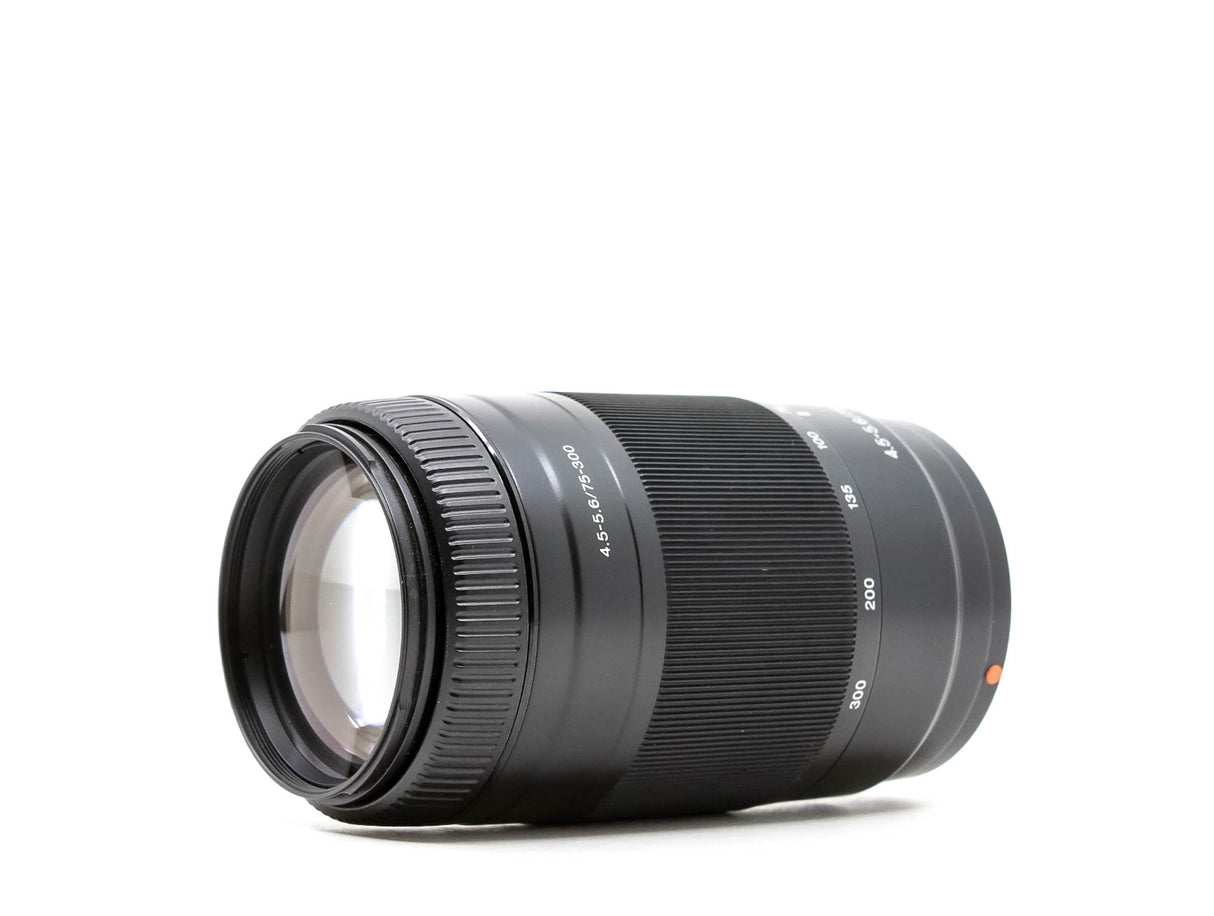 Sony 75-300mm f/4.5-5.6 - Compatibile con Sony A