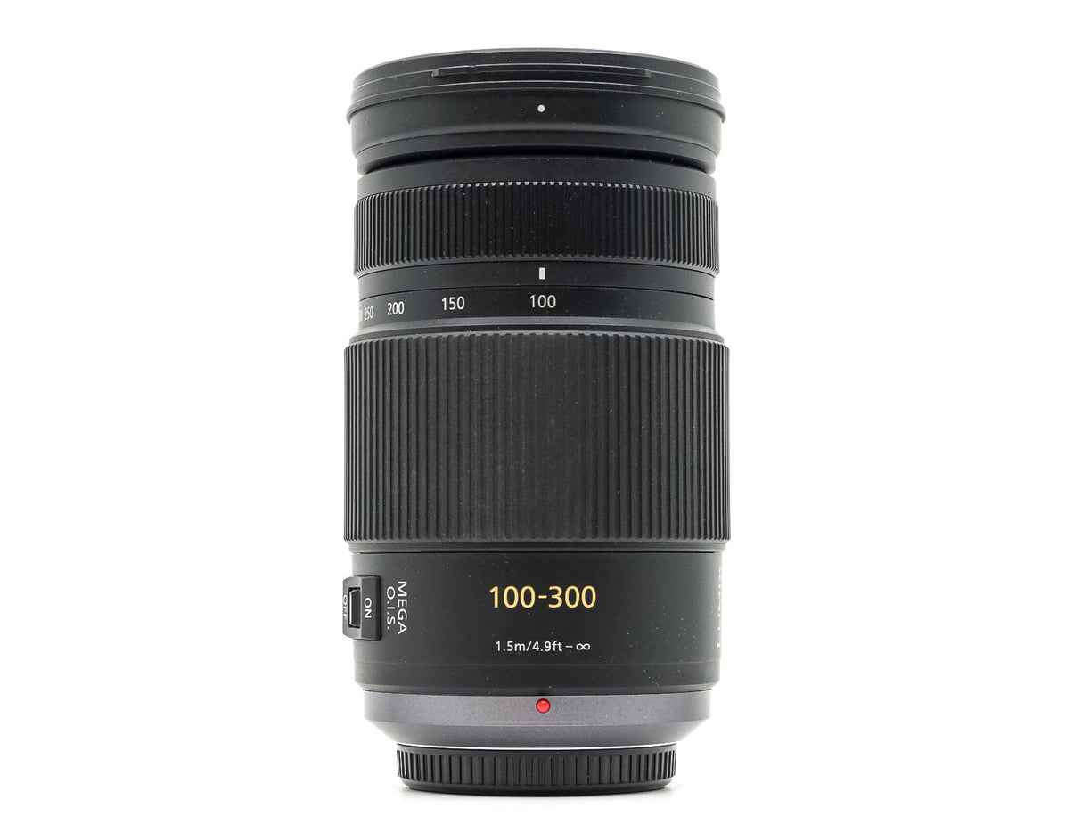 Panasonic Lumix G Vario 100-300mm f/4-5.6 Mega OIS