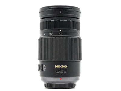 Panasonic Lumix G Vario 100-300mm f/4-5.6 Mega OIS