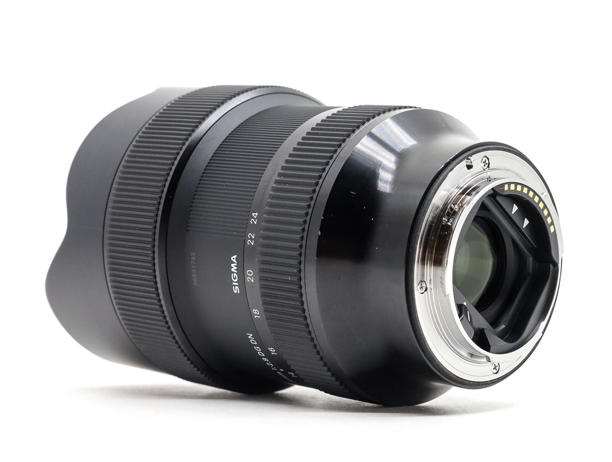 Sigma 14-24mm f/2.8 DG DN ART - compatibile con Sony FE