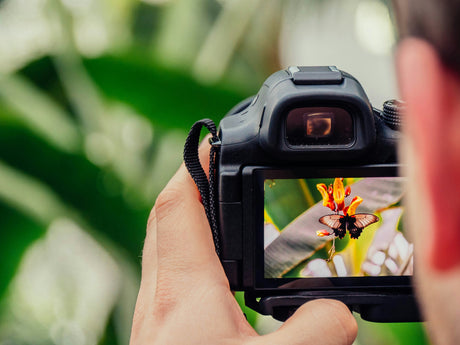 Fundamentos de la Fotografía: 6 Consejos para Principiantes y Estudiantes