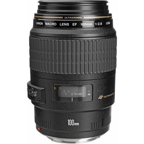 EF 100mm f/2.8 Lenses  · main image