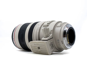 Canon EF 100-400mm f/4.5-5.6 L IS USM