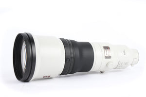 Sony FE 600mm f/4 GM OSS