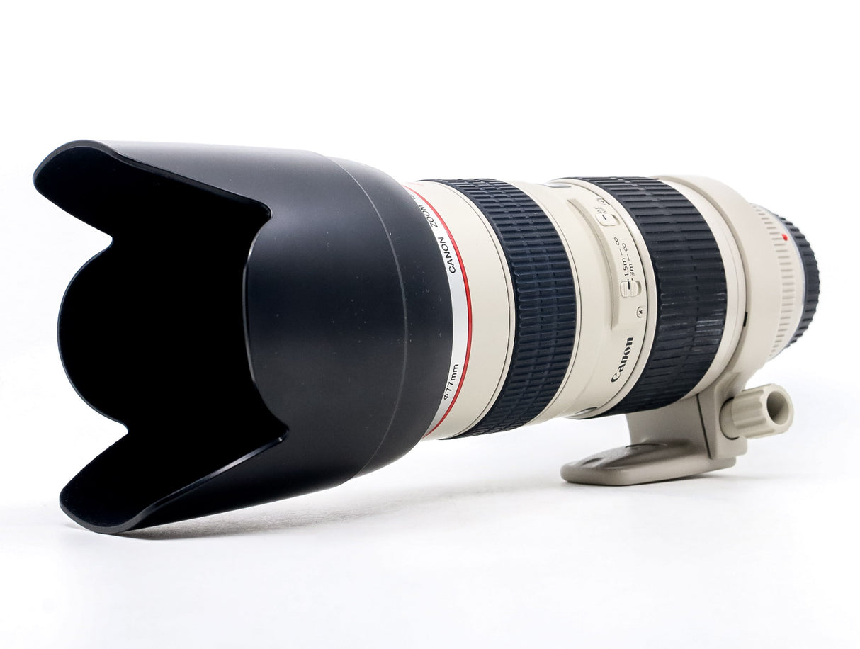 Canon EF 70-200mm f/2.8 L USM