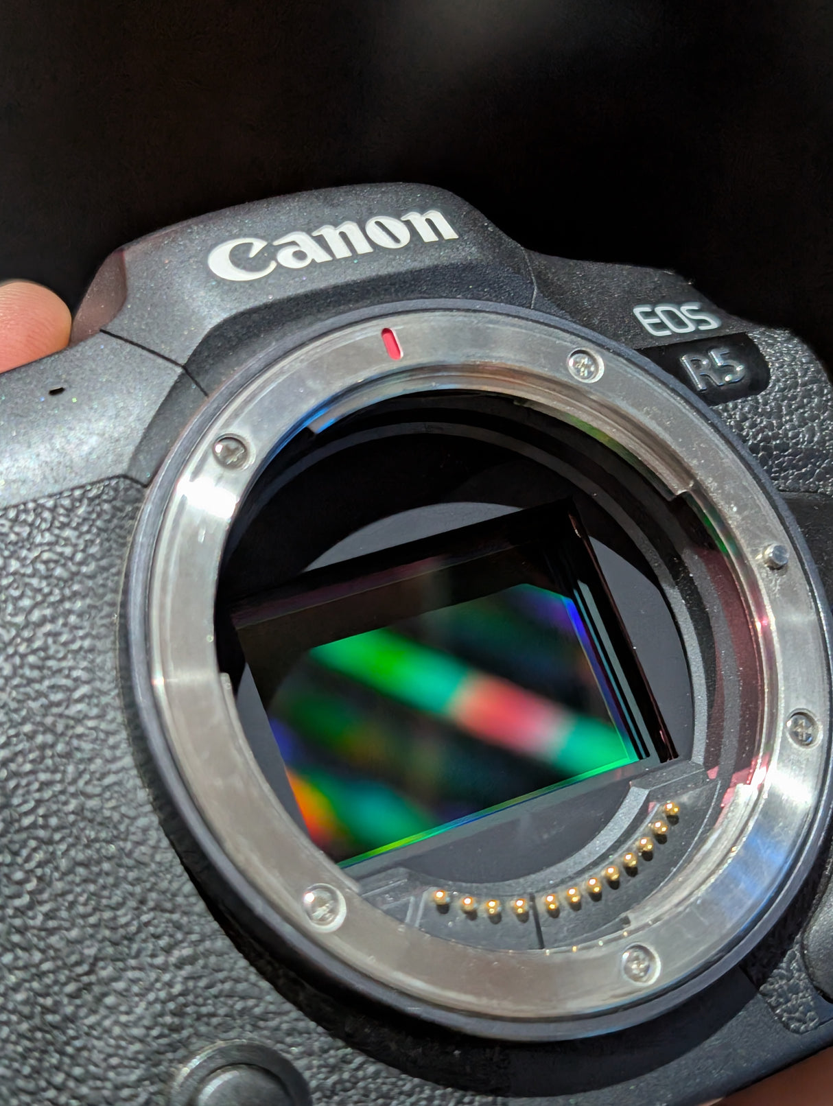 CanonR5a392cdfd-004c-4808-9ee7-d66552eb1a47