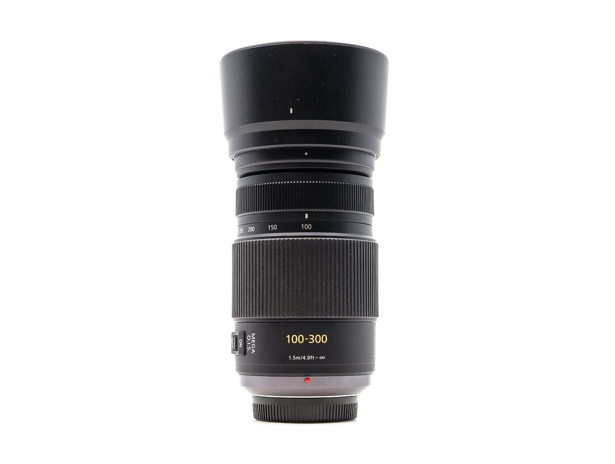 Panasonic Lumix G Vario 100-300mm f/4-5.6 Mega O.I.S. · imagem principal